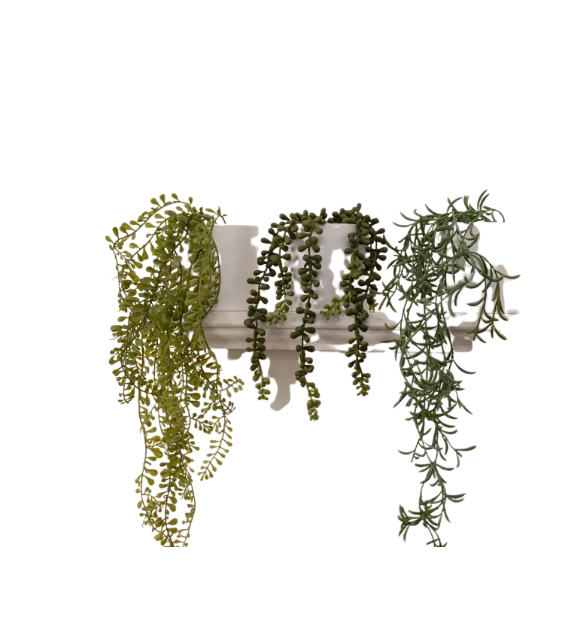 Artificial Trailing Plants (Set of 3)